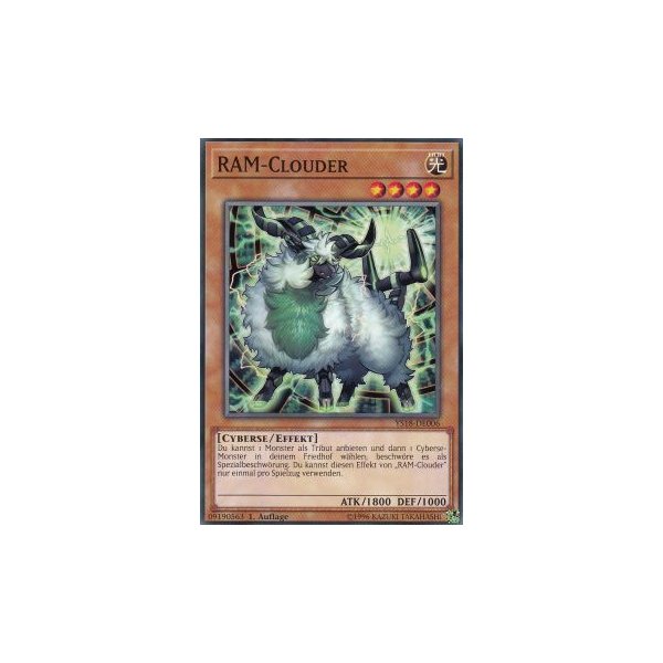 RAM-Clouder YS18-DE006