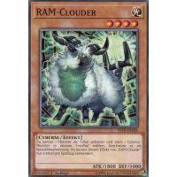 RAM-Clouder YS18-DE006