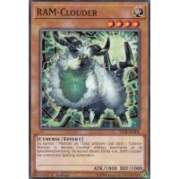RAM-Clouder YS18-DE006