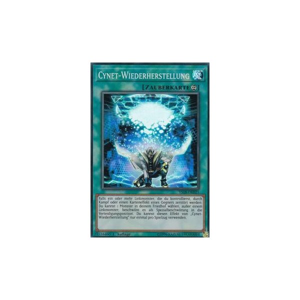 Cynet-Wiederherstellung YS18-DE021