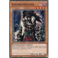 Sch&auml;delmeister SDPL-DE013