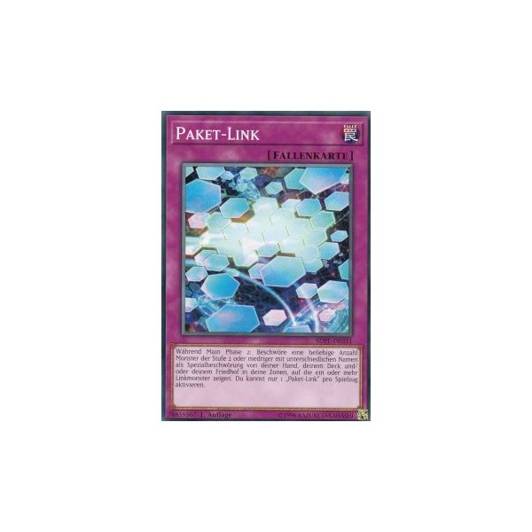 Paket-Link SDPL-DE031