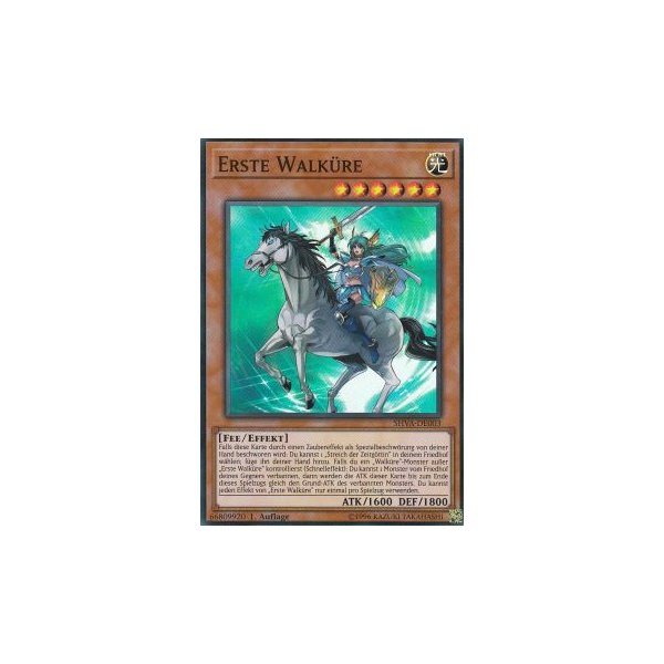 Erste Walk&uuml;re SHVA-DE003