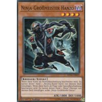 Ninja-Großmeister Hanzo SHVA-DE022