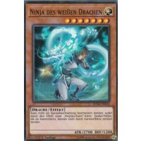 Ninja des wei&szlig;en Drachen SHVA-DE024