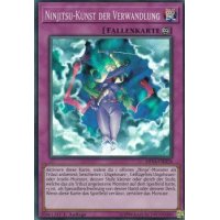 Ninjitsu-Kunst der Verwandlung SHVA-DE028