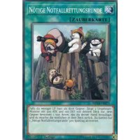 Nötige Notfallrettungsrunde MP18-DE075