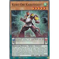 Kuro-Obi Karategeist MP18-DE224