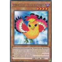 Schwarzflügel - Auster der Südwind LED3-DE025