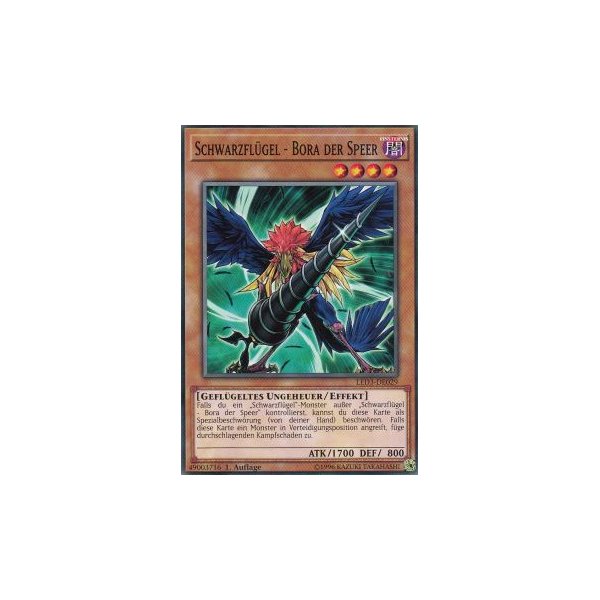 Schwarzfl&uuml;gel - Bora der Speer LED3-DE029