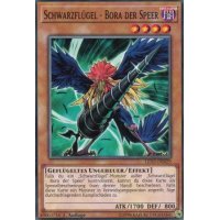 Schwarzflügel - Bora der Speer LED3-DE029
