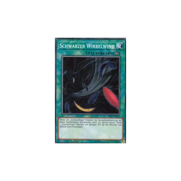 Schwarzer Wirbelwind LED3-DE032