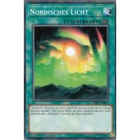 Nordisches Licht LEHD-DEB13