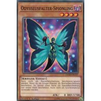 Odysseusfalter-Spionling LEHD-DEC07