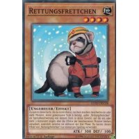 Rettungsfrettchen LEHD-DEC08