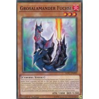 Grosalamander Fuchsi SOFU-DE003