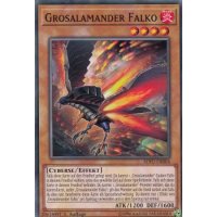 Grosalamander Falko SOFU-DE004