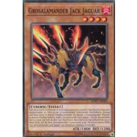 Grosalamander Jack Jaguar SOFU-DE005