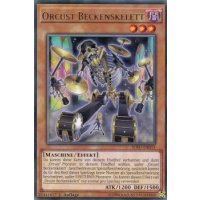 Orcust Beckenskelett SOFU-DE015
