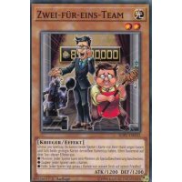 Zwei-f&uuml;r-eins-Team SOFU-DE032
