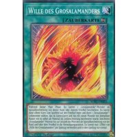 Wille des Grosalamanders SOFU-DE053