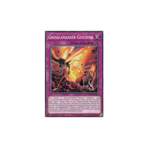 Grosalamander-Geschenk SOFU-DE067