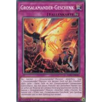 Grosalamander-Geschenk SOFU-DE067