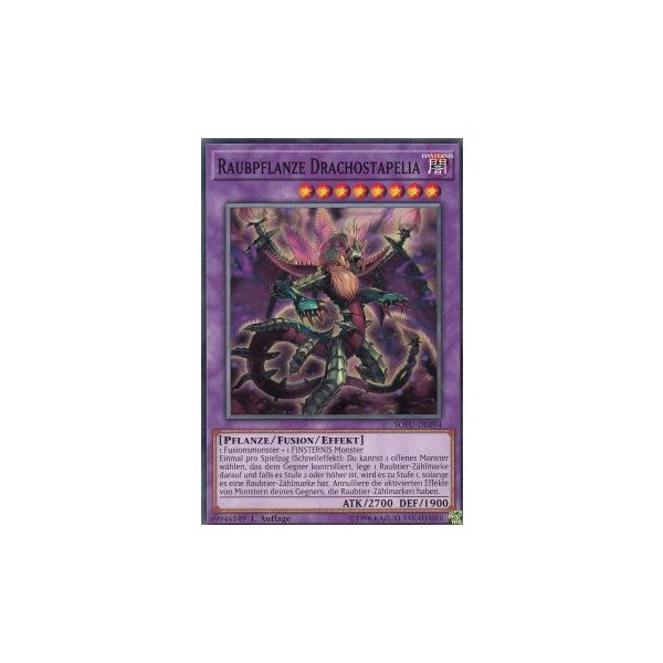 Raubpflanze Drachostapelia SOFU-DE094