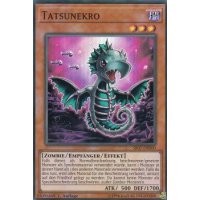 Tatsunekro SR07-DE000