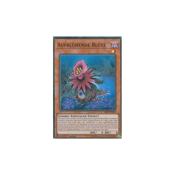 Aufbl&uuml;hende Bl&uuml;te SR07-DE003