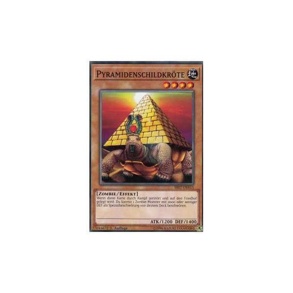 Pyramidenschildkr&ouml;te SR07-DE015