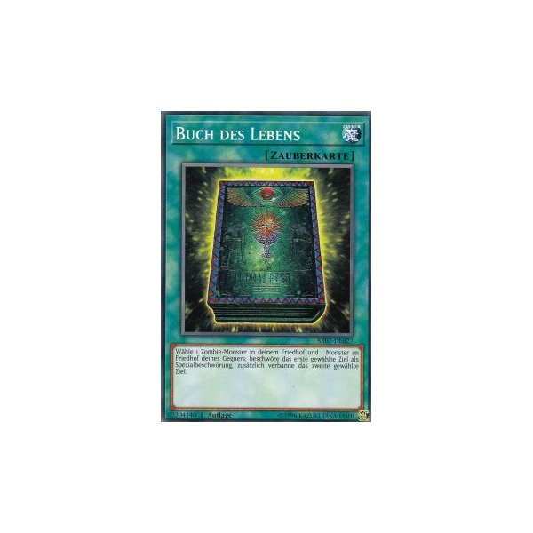 Buch des Lebens SR07-DE027