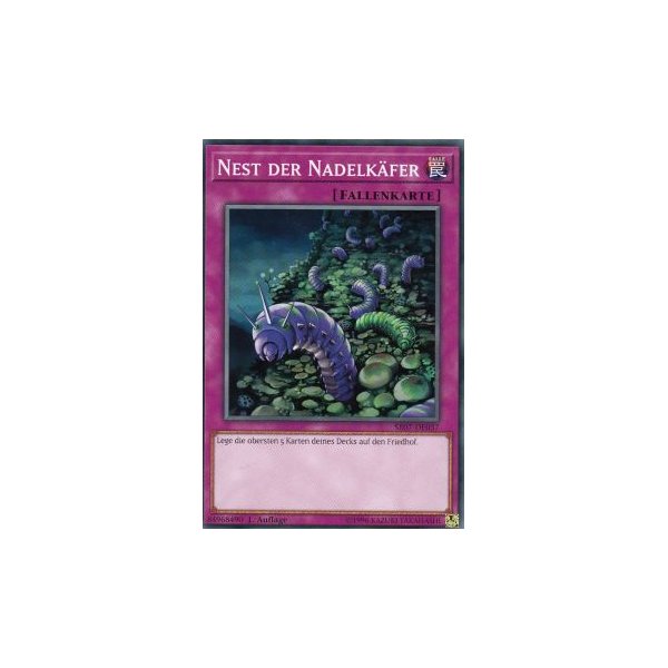 Nest der Nadelk&auml;fer SR07-DE037