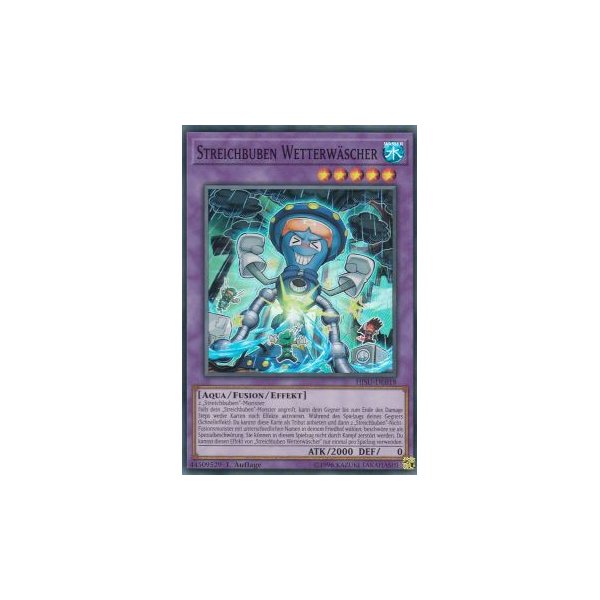 Streichbuben Wetterw&auml;scher HISU-DE018