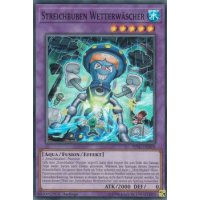 Streichbuben Wetterwäscher HISU-DE018