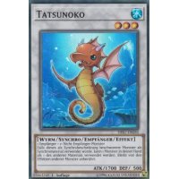 Tatsunoko HISU-DE050