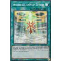 Vorherbestimmtes Ritual HISU-DE054