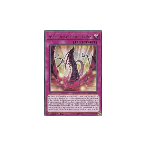 Erbl&uuml;hen der dunkelsten Rose LED4-DE027