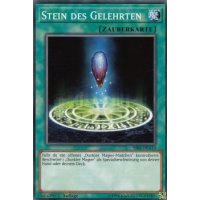 Stein des Gelehrten SS01-DEA10