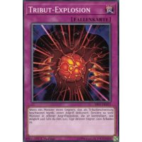 Tribut-Explosion SS01-DEB15
