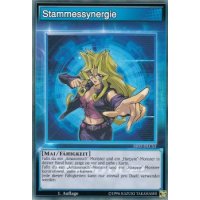 Stammessynergie SS02-DECS3