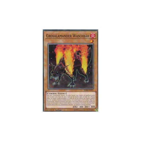 Grosalamander Waschb&auml;r SDSB-DE001
