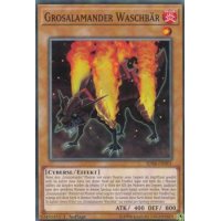 Grosalamander Waschbär SDSB-DE001