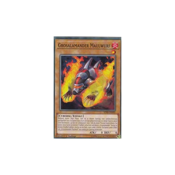 Grosalamander Maulwurf SDSB-DE002