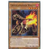 Grosalamander Wolfie SDSB-DE011