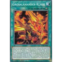 Grosalamander-Klaue SDSB-DE024