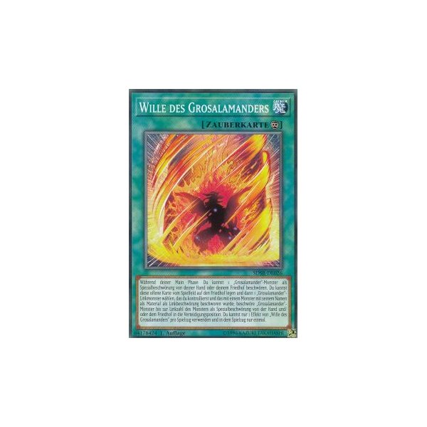 Wille des Grosalamanders SDSB-DE026