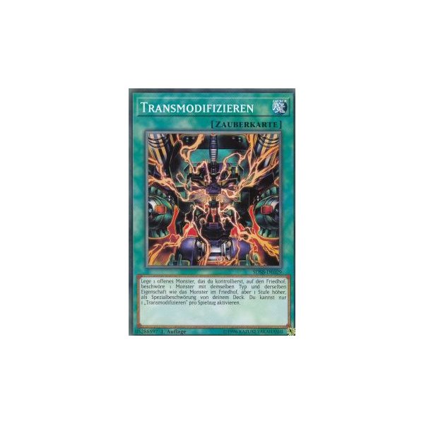 Transmodifizieren SDSB-DE029