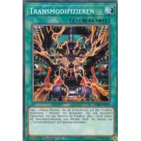 Transmodifizieren SDSB-DE029