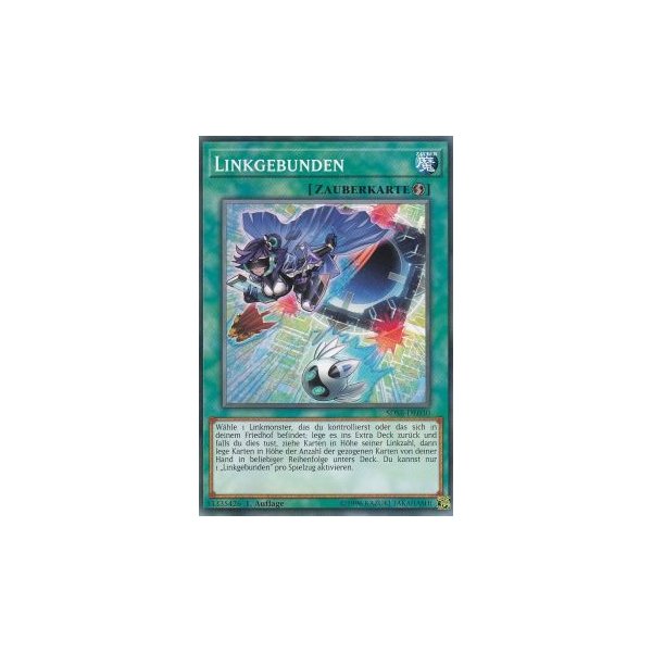 Linkgebunden SDSB-DE030